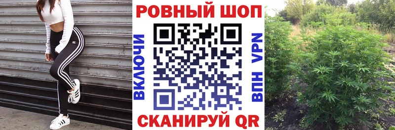 Виды наркоты Салехард kraken зеркало  Кокаин  Мефедрон  Конопля  ГАШ 