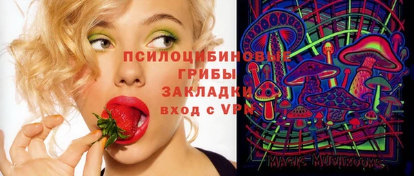 прущие крисы Медвежьегорск