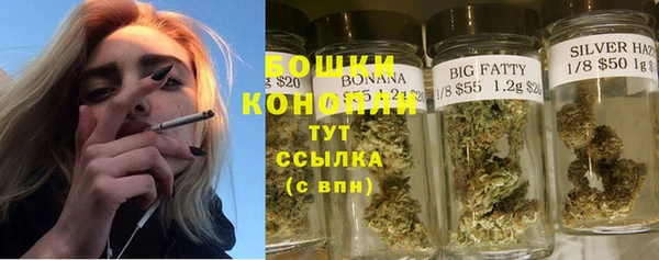 прущие крисы Медвежьегорск