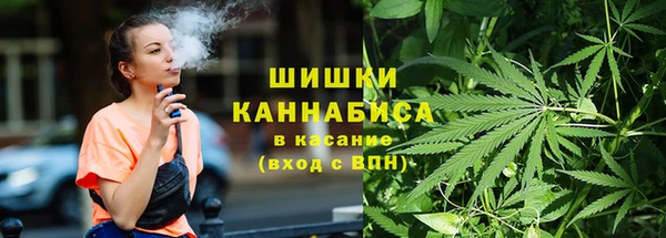 прущие крисы Медвежьегорск