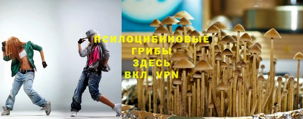 прущие крисы Медвежьегорск